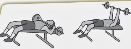 Bentuk latihan untuk kekuatan dan daya tahan otot kaki adalah. Latihan Daya Tahan Otot Jantung Paru -Paru Kebugaran