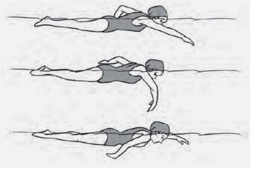 Berenang dengan posisi punggung menghadap ke permukaan air disebut gaya. Renang gaya bebas - pustakapengetahuan.com