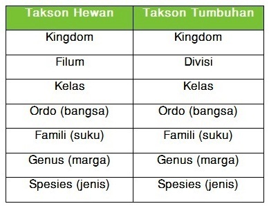 Urutan takson tumbuhan dari kelompok terbesar ke kelompok terkecil adalah …. KLASIFIKASI MAKHLUK HIDUP | BELAJAR IPA SMP ONLINE