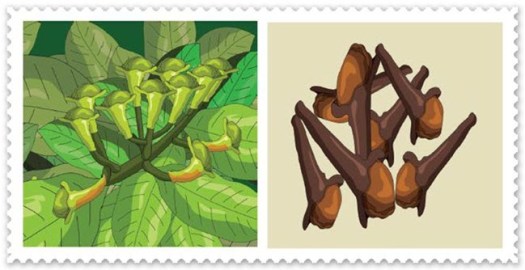 Hal ini dikarenakan pada saat itu, eropa tidak memiliki akses untuk melakukan perdagangan dikarenkan hancurnya kerajaan byzantium. Pembelajaran 1 Tema 7 Subtema 1 Peristiwa Kebangsaan Masa