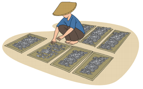 Menjemur ikan yang dilakukan nelayan. Pemanfaatan Sinar Matahari Dalam Pengolahan Sumber Daya Alam Halaman 37 Belajar Kurikulum 2013