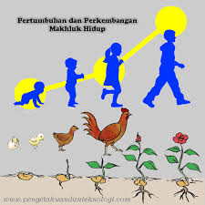 Bernafas, tumbuh, berkembang biak, bergerak, dan peka terhadap rangsangan. Muslana Materi Ajar Kelas 3b Hari Senin 20 Juli 2020