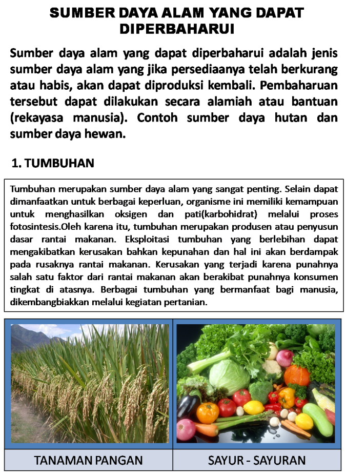 Contoh sumber daya alam yang tidak diperbaharui adalah . Gambar Sumber Daya Alam Dapat Diperbaharui Dan Tidak Dapat Diperbaharui Freewaremini