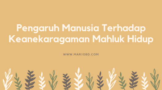 Melalui perlombaan ini diharapkan dapat meningkatkan kepedulian dari generasi millennial akan pentingnya menjaga keanekaragaman hayati tanah. Pengaruh Manusia Terhadap Keanekaragaman Mahluk Hidup Mario Bd