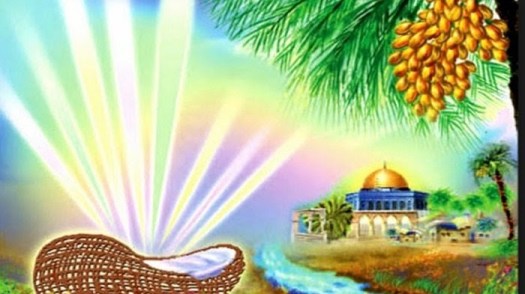 Nabi ismail merupakan putra dari nabi ibrahim a.s dengan siti hajar. Materi Pai Kelas 8 Nabi Dan Rasul Adalah Manusia Pilihan Media Pembelajaran Online Guru Spensaka Smpn1kalimanah