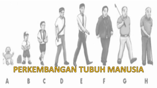 Salah satu cara untuk menunjang tercapainya pepatah tersebut adalah . Materi Pjok Perkembangan Tubuh Remaja Kelas 7 Smp Kreatif Dan Inovatif