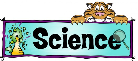 Kolam anaerobik adalah kolam yang menerima beban organik tinggi dan kondisi anaerobik terdapat pada sepanjang kedalaman kolam. Pelajaran Sekolah Ku Soal Jawaban Mahluk Hidup Dengan Lingkungan Ipa Kelas 7 Smp