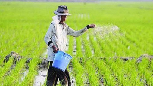 Usahatani adalah kegiatan dalam bidang pertanian, mulai dari. Jenis Jenis Usaha Dalam Bidang Ekonomi