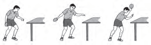 Pukulan backhand tenis meja merupakan bentuk pukulan yang mengenai bagian. Teknik Dasar Bermain Tenis Meja Dengan Benar