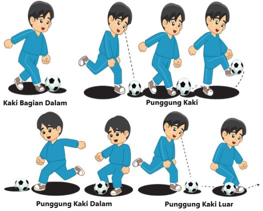 Pendidikan jasmani pada hakikatnya adalah proses pendidikan yang memanfaatkan aktivitas fisik untuk menghasilkan perubahan holistik dalam . Permainan Bola Besar Sepak Bola Mikirbae Com