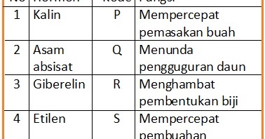Buah semangka tanpa biji dapat di peroleh dengan memberikan hormon. 44 Gambar Buah Semangka Tanpa Biji Dapat Kamu Peroleh Dengan Memberikan Hormon Tergokil