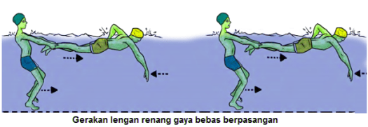 Disimpulkan gerakan lengan pada renang gaya. Variasi Latihan Renang Gaya Bebas Disertai Gambar Variasi Gerak Tungkai Lengan Dan Pernafasan Renang Gaya Bebas