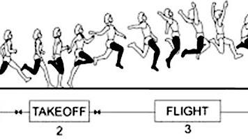 Setelah itu, saat melompat, tubuh atlet akan melayang di . 3 Macam Gaya Lompat Jauh Gambar Dan Penjelasannya Penjasorkes