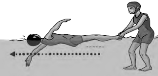 Teknik pernapasan pada renang gaya bebas dilakukan dengan cara memutar. Renang Gaya Punggung