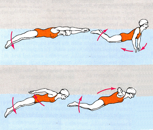 Disimpulkan gerakan lengan pada renang gaya. Hambatan Pelaksanaan Pembelajaran Renang Di Sekolah Dasar Se Kecamatan Mergangsan Yogyakarta Tahun Pelajaran 2019 2020 Tugas Ak