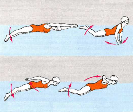 Disimpulkan gerakan lengan pada renang gaya. Hambatan Pelaksanaan Pembelajaran Renang Di Sekolah Dasar Se Kecamatan Mergangsan Yogyakarta Tahun Pelajaran 2019 2020 Tugas Ak