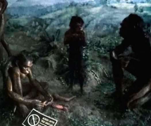 Berbadan tegap dengan alat pengunyah yang kuat. Sejarah Perkembangan Manusia Purba Sejarahpedia Com Berbagi Informasi Sejarah