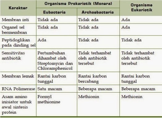Di lipid membran pada eubacteria tidak bercabang dan lipid memiliki ikatan ester. Penjelasan Tentang Kingdom Monera Sma Negeri 1 Sijunjung