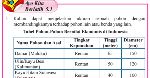 Anton mengatakan bahwa rasio diameter ramin terhadap diameter ulin adalah 1 6 · sikap awal saat melakukan lompat katak kedua tangan . Soal No 1 Ayo Kita Berlatih 5 1 Matematika Kelas 7 Kerja Soalmu