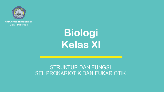 Organel yang hanya dimiliki oleh sel tumbuhan yaitu kloroplas dan dinding sel sedangkan organel yang hanya dimiliki sel hewan adalah lisosom dan sentriol. Struktur Dan Fungsi Sel Prokariotik Dan Eukariotik Sma Syarif Hidayatullah Grati