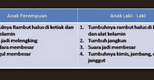 Tingkat pengetahuan dan sikap pada remaja putri tentang perubahan. Ciri Ciri Perkembangan Fisik Laki Laki Dan Perempuan Pada Masa Pubertas Website Pendidikan