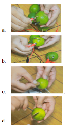 Anda harus mencari guru vokal yang siap mengajari anda teknik vokal dan latihan menyanyi yang tepat. Soal Pas Kelas 4 Tema 2 Dyn S World