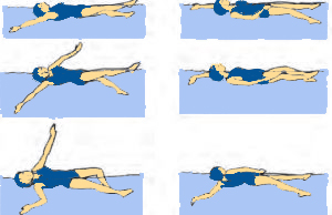 Gaya bebas adalah berenang dengan posisi dada menghadap ke permukaan air. Teknik Dasar Renang Gaya Punggung Dan Penjelasannya Penjasorkes