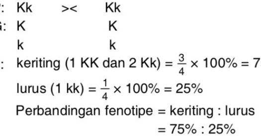 American lung association's lung force unites women and their loved ones across the country to stand together for lung health and against lung cancer. Apabila Rambut Lurus Adalah Sifat Resesif Dari Perkawinan Dua Orang Tua Yang Keduanya Mas Dayat