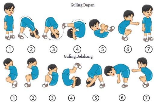 Posisikan dagu menyentuh dada dan pundak di matras. Mengenal Teknik Dan Bentuk Senam Lantai Bu Guru Maya