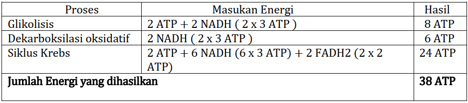 Asam laktat, asam amino dan atp b. Materi Biologi Kelas Xii Bab Ii B Katabolisme Kompas Belajar