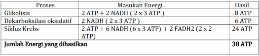 Asam laktat, asam amino dan atp b. Materi Biologi Kelas Xii Bab Ii B Katabolisme Kompas Belajar
