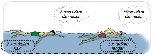No tgl nama peserta didik catatan pendidik aspek yang diamati sikap 1 2 3 dst penilaian pengetahuan materi renang gaya bebas a. Teknik Pernapasan Renang Gaya Bebas Maolioka
