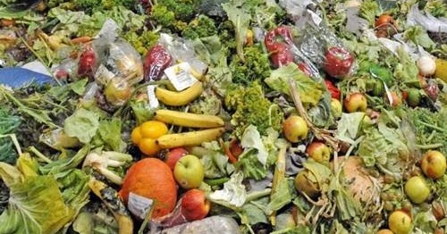 Limbah organik basah yang dapat dijadikan karya kerajinan adalah; . Pengertian Limbah Organik Meliputi Manfaat Jenis Prinsip Pengolahannya Dan Contohnya Ilmuips My Id Materi Belajar Gratis