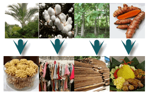 Biodiesel hasil penelitian p3hh telah diujicobakan sebagai bahan bakar. Manfaat Buah Dan Tanaman Bagi Makhluk Hidup