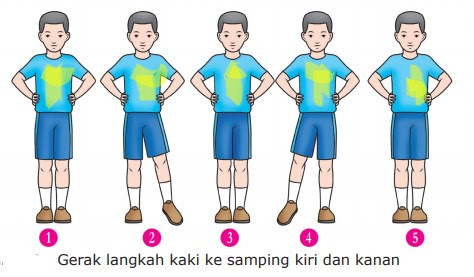 Dalam aktivitas gerak berirama terdapat 2 macam sikap utama yaitu sikap awal (permulaan), . Materi Pjok Kelas 4 Semester 2 Variasi Langkah Dan Ayunan Sistemku Infomasimu
