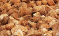 Tahap pertama yang perlu dilakukan dalam pembuatan benda kerajinan adalah. Latihan Soal Prakarya Kelas 7 Smp Mts Semester 1 Bab 1 Kerajinan Serat Ahzaa Net