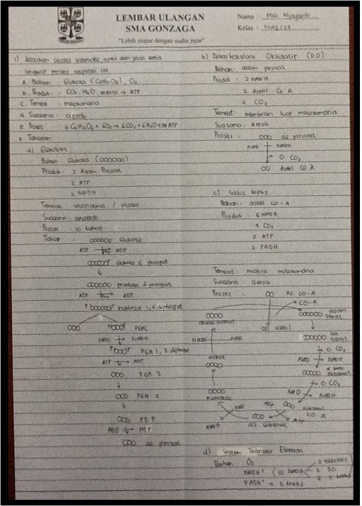 Molekul atp yang terbentuk sebenarnya ada 4, namun 2 atp telah digunakan untuk . Biologi Gonzaga Jawaban Soal Metabolisme Sel