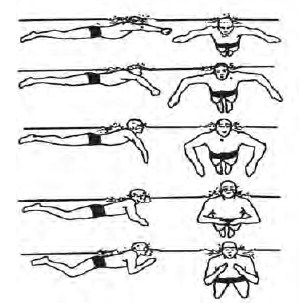 No tgl nama peserta didik catatan pendidik aspek yang diamati sikap 1 2 3 dst penilaian pengetahuan materi renang gaya bebas a. Aktivitas Air Akuatik Ii Aktivitas Akuatik Keterampilan Renang Gaya Dada Dan Gaya Miring