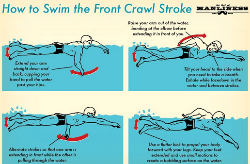 Renang gaya bebas adalah renang yang dilakukan dengan sikap tubuh telungkup dan gerakan kedua kaki diayunkan dari atas ke bawah secara . Lengkap Macam Macam Gaya Renang Dan Cara Melakukannya
