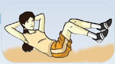 Pada saat kita melakukan gerakan sit up posisi kaki harus. Latihan Kebugaran Jasmani Dilengkapi Dengan Gambar Maolioka