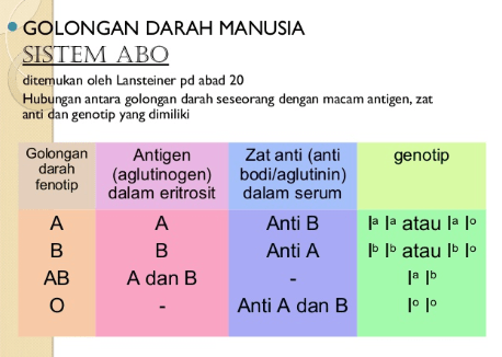 Pasangan aglutinogen dan aglutinin yang menunjukkan golongan darah o . Aglutinin Adalah Kamus Biologi Online Biologi Edukasi Belajar Sains Biologi