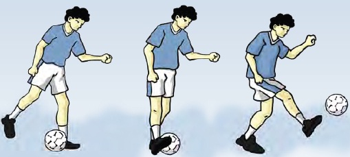 Dalam permainan sepak bola kita akan mengenal istilah trapping. Cara Mengumpan Dan Menghentikan Bola Menggunakan Punggung Kaki Pada Permainan Sepak Bola Teknik Dasar Olahraga