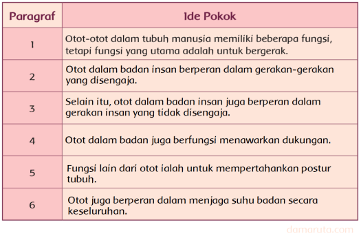 Ide pokok paragraf adalah inti sebuah paragraf. Ide Pokok Paragraf Bacaan Otot Manusia Halaman 109 Belajar Kurikulum 2013