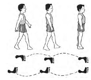Cara melakukan langkah biasa adalah sebagai berikut:. Aktivitas Senam Ritmik Ritmik Ayunan Lompat Langkah