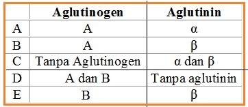 Pasangan aglutinogen dan agglutinin yang menunjukkan golongan darah. Test Kelas Xi Semester 1 Materi Dan Soal Biologi