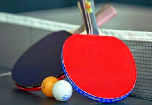 Peralatan yang dibutuhkan dalam permainan tenis meja terdiri dari bet, meja,. Permainan Tenis Meja Kajianpustaka Com