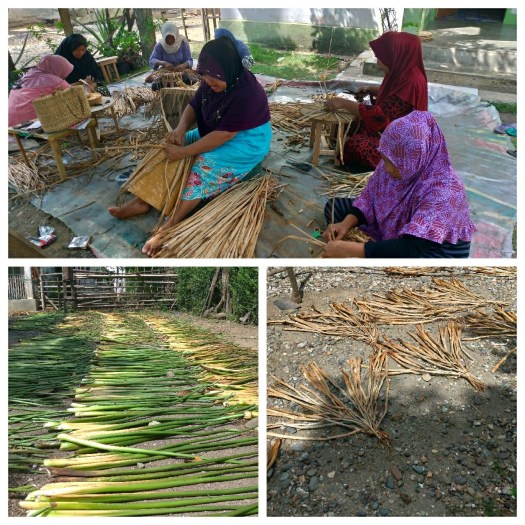 Penelitian ini bertujuan untuk (1) mendeskripsikan anatomi tangkai daun eceng gondok yang digunakan sebagai bahan kerajinan anyaman; Merajut Asa Eceng Gondok Hingga Berhasil Naik Kelas Catatan Pencerahan