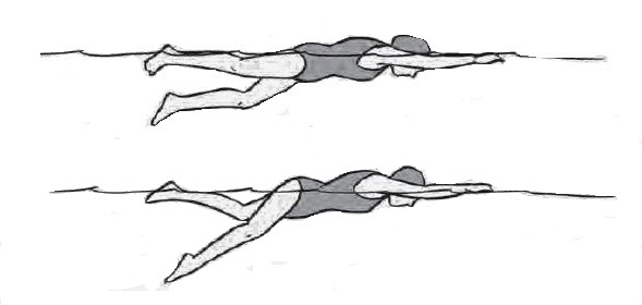 Baik dan benar harus memperhatikan posisi kaki, tangan, badan, dan cara bernapas. Menganalisis Keterampilan Renang Gaya Bebas Mikirbae Com