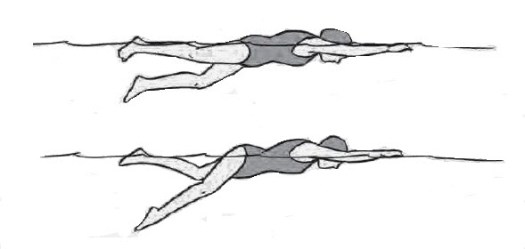 Baik dan benar harus memperhatikan posisi kaki, tangan, badan, dan cara bernapas. Menganalisis Keterampilan Renang Gaya Bebas Mikirbae Com