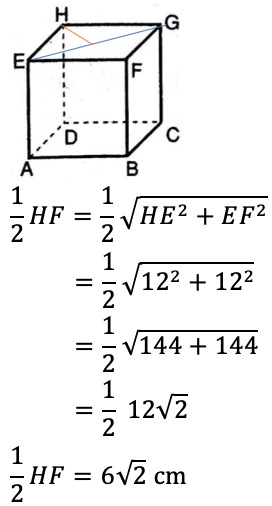 Jadi, jarak titik h ke garis df adalah 10 3 6. Diketahui Kubus Abcd Efgh Dengan Panjang Rusuk 12 Cm Jarak Ruas Garis Hd Dan Eg Mas Dayat
